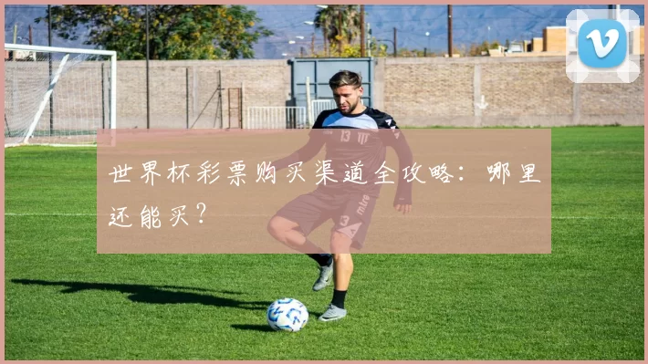 世界杯彩票购买渠道全攻略：哪里还能买？