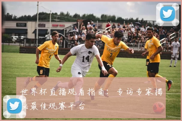 世界杯直播观看指南:专访专家揭秘最佳观赛平台