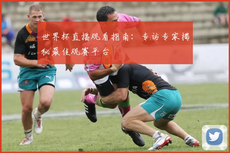 世界杯直播观看指南:专访专家揭秘最佳观赛平台
