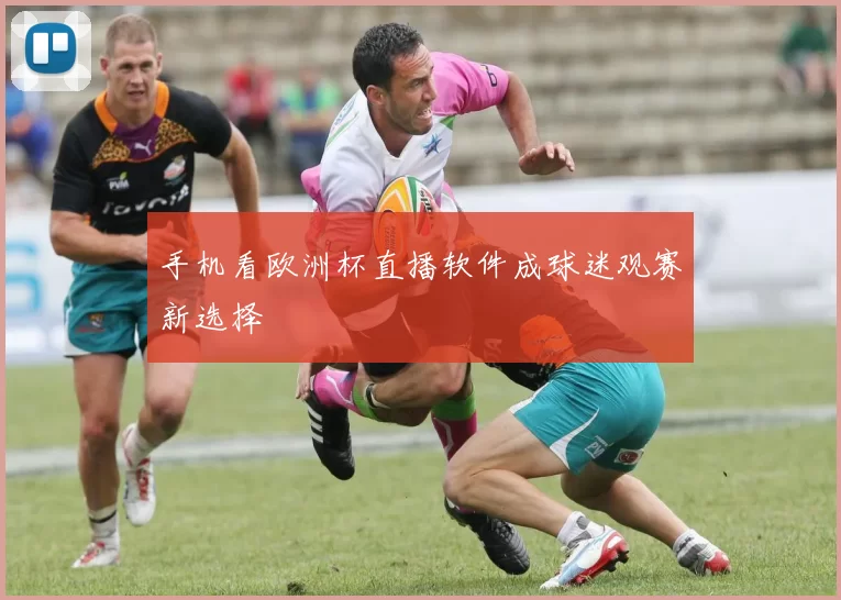 手机看欧洲杯直播软件成球迷观赛新选择