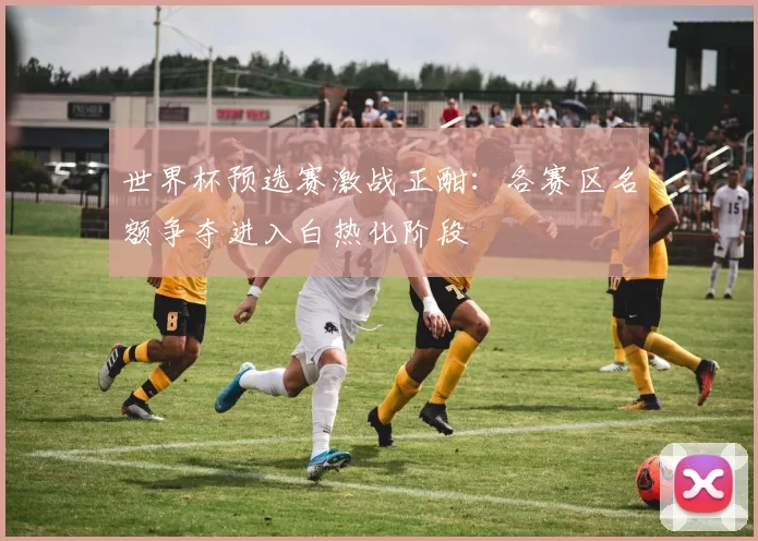 世界杯预选赛激战正酣:各赛区名额争夺进入白热化阶段