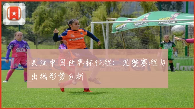关注中国世界杯征程：完整赛程与出线形势分析