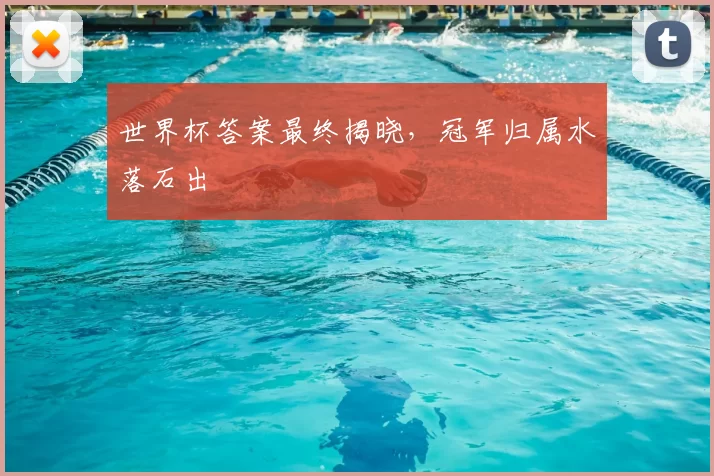 世界杯答案最终揭晓,冠军归属水落石出