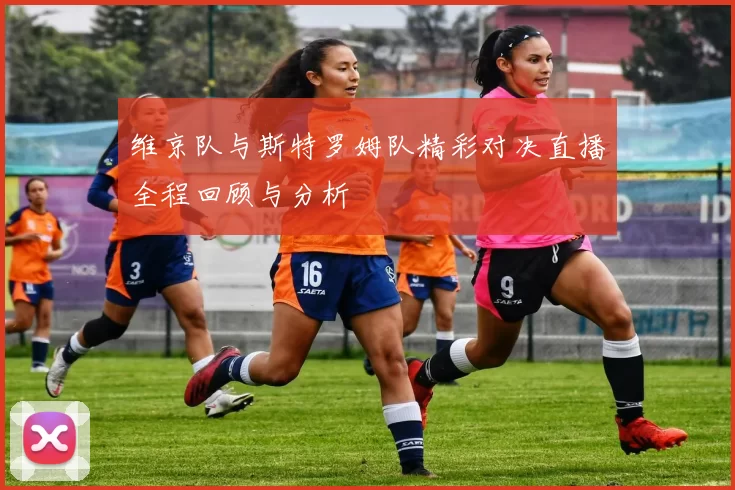 维京队与斯特罗姆队精彩对决直播全程回顾与分析