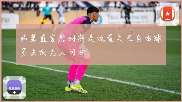 弗莱直言詹姆斯是流量之王自由球员去向无人问津