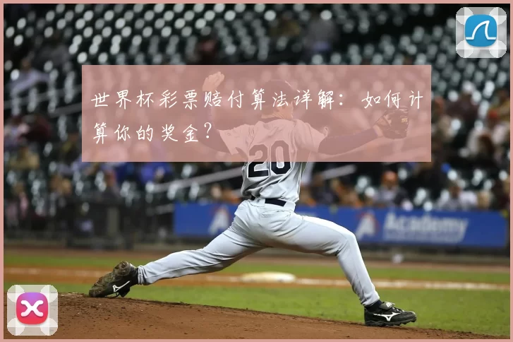 世界杯彩票赔付算法详解：如何计算你的奖金？