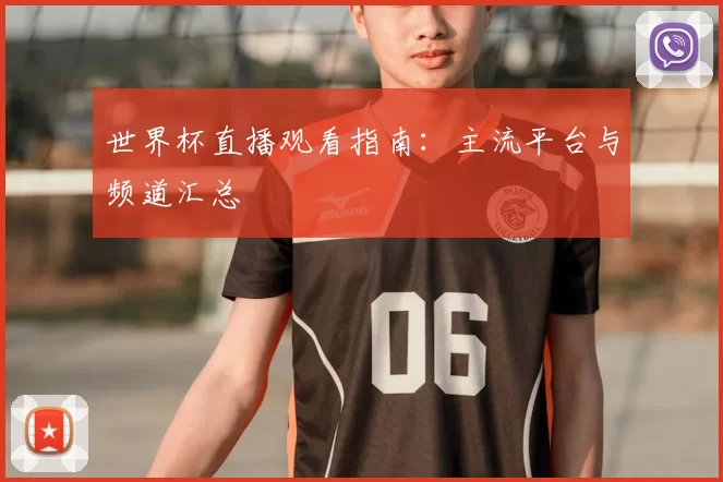 世界杯直播观看指南：主流平台与频道汇总