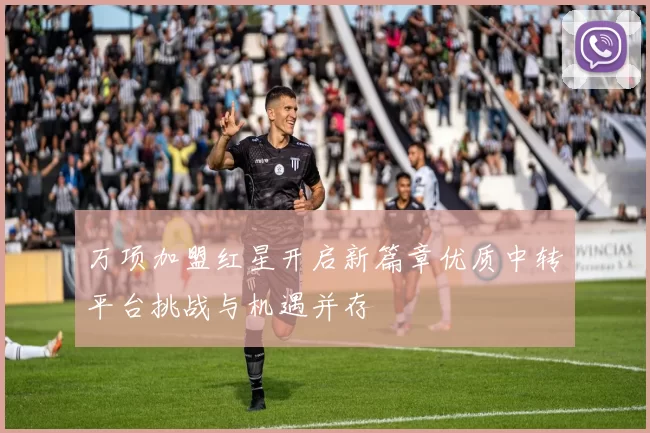 万项加盟红星开启新篇章优质中转平台挑战与机遇并存