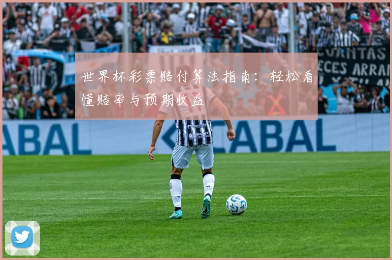 世界杯彩票赔付算法指南:轻松看懂赔率与预期收益